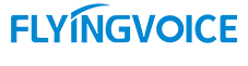 Flying Voice